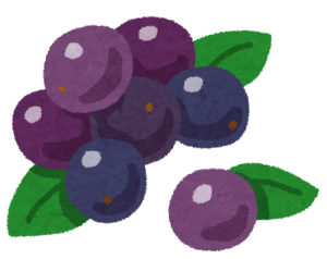 fruit_acai