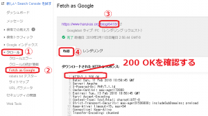 Fetch as Google