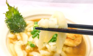 北海道講座印のスペシャル豪雪うどんの麺リフト