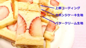 フレジエの層の構成