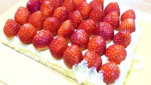 フレジエ組み立て途中の画像